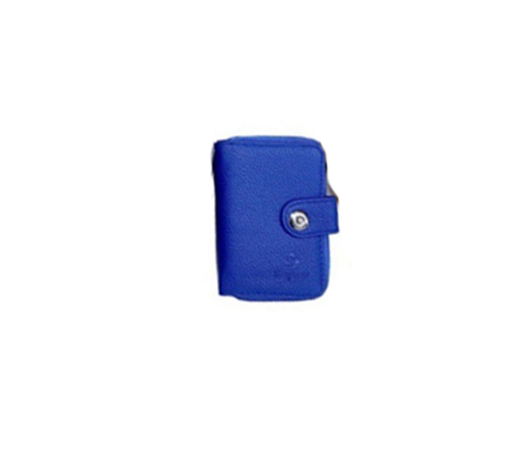 Variation picture for Bleu royal